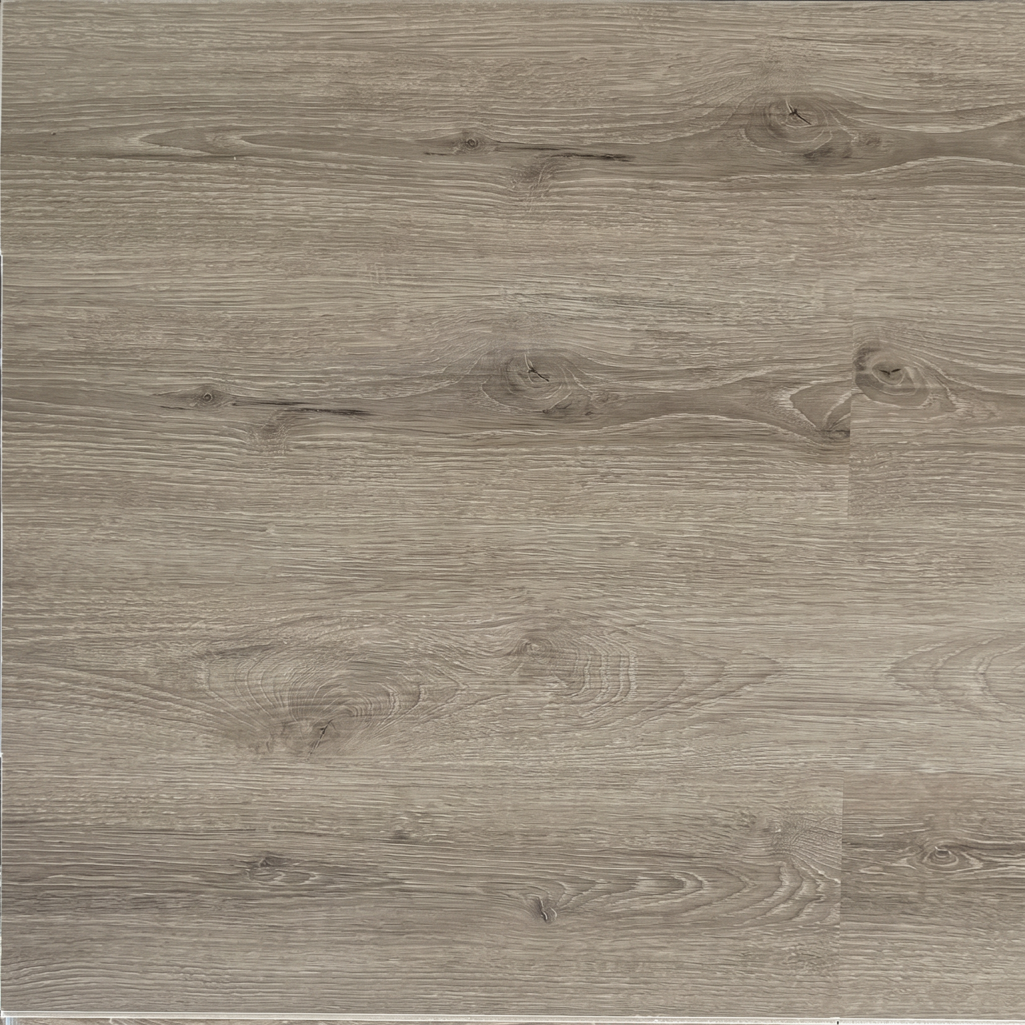 Warm Ash Luxury Click Vinyl Flooring 5mm